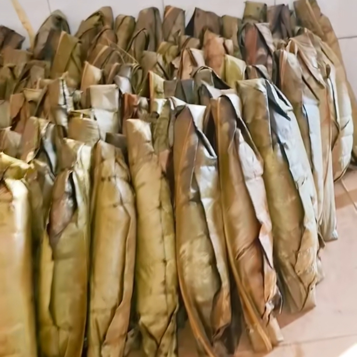 Cassava