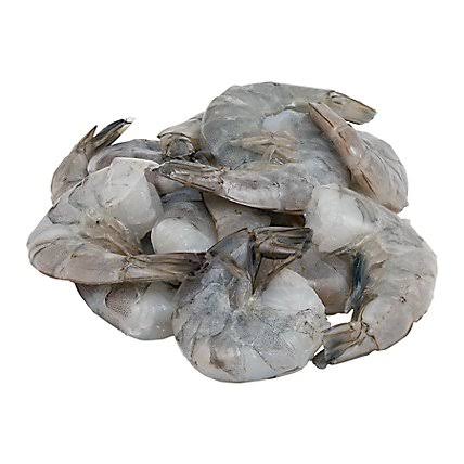 Shrimp